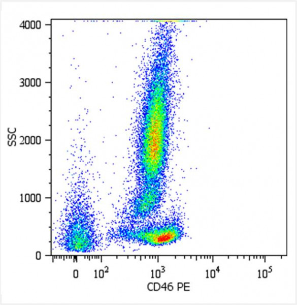 Anti-CD46, clone MEM-258 (PE)