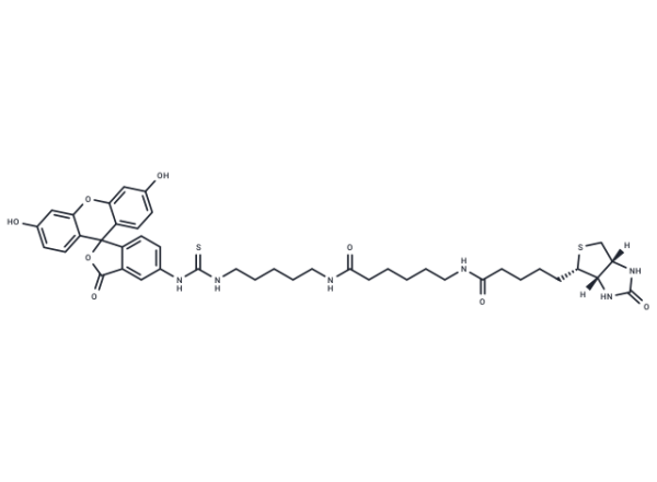 Fluorescein Biotin