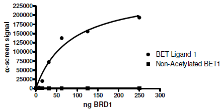 BRD1 Inhibitor Screening Assay Kit