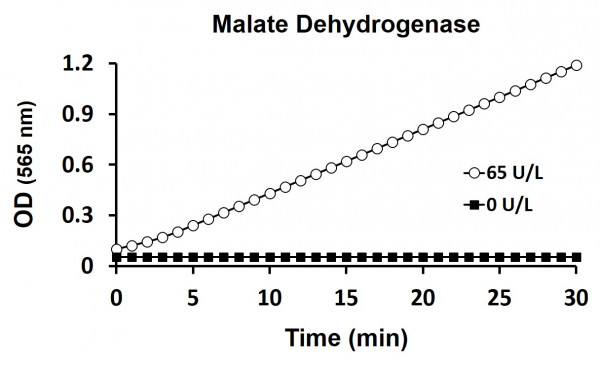 Malate Dehydrogenase Activity Assay Kit (Colorimetric)