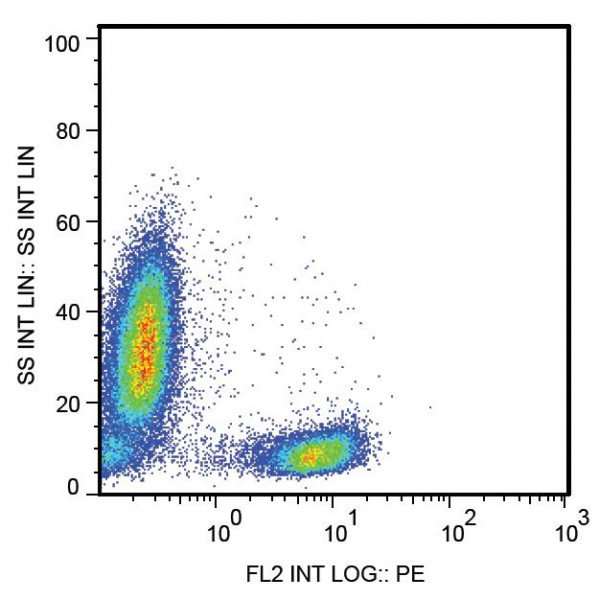 Anti-CD28, clone CD28.2 (PE )