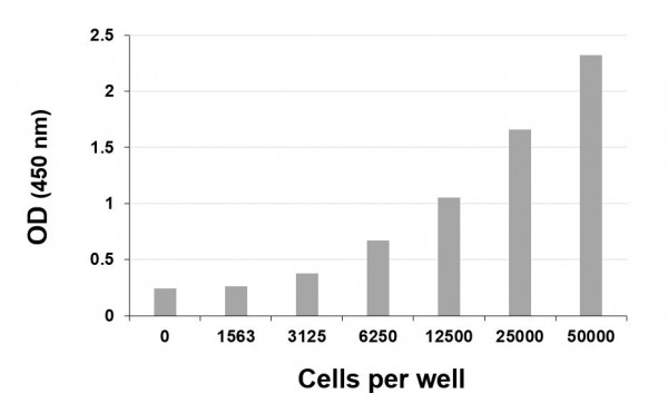 WST-1 Cell Proliferation Assay Reagent