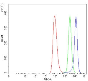Anti-TREML2 / Trem-like transcript 2 protein