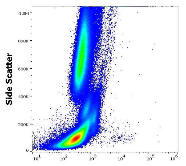 Anti-CD34 (FITC), clone 581