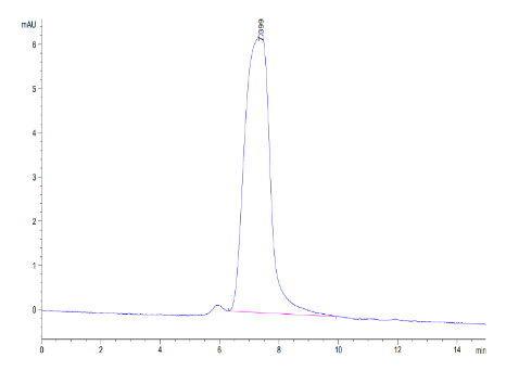 CX3CL1/Fractalkine, His, Mouse
