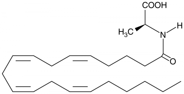 N-Arachidonoyl-L-Alanine