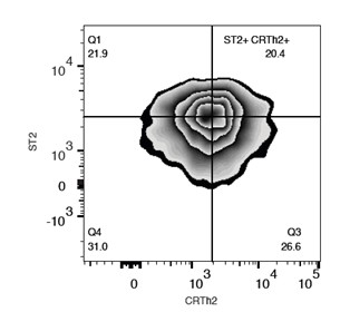 Anti-ST2 (human) (ATTO 647N)