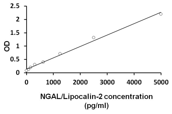 Human NGAL/Lipocalin-2 ELISA Kit