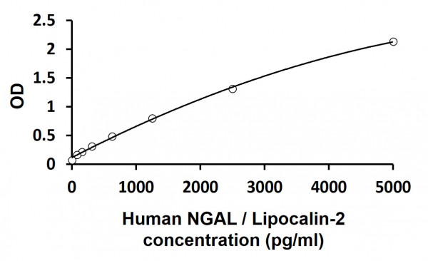 Human NGAL/Lipocalin-2 ELISA Kit