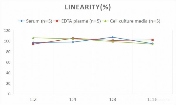 Human LEP (Leptin) CLIA Kit