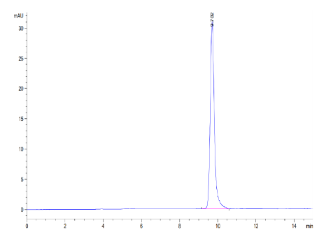 IL-1 alpha/IL-1A, Human