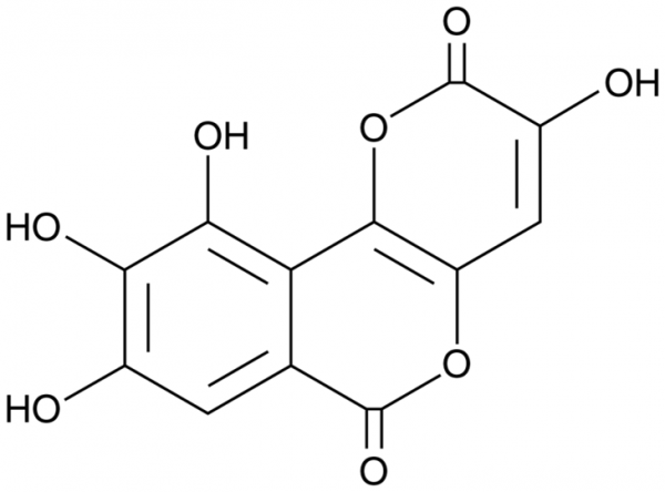 Galloflavin