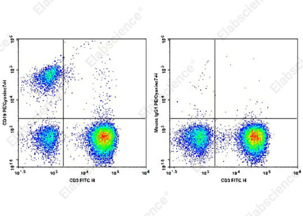 PE/Cyanine7 Anti-Human CD19 Antibody[SJ25C1]