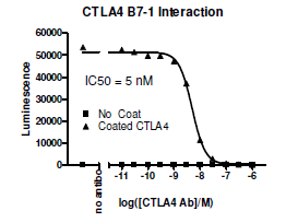 Anti-CTLA4 (CD152) Neutralizing