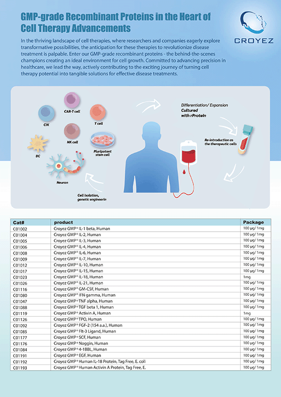 GMP-grade Recombinant Proteins