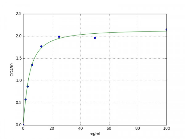 Human ACHE / Acetylcholinesterase ELISA Kit