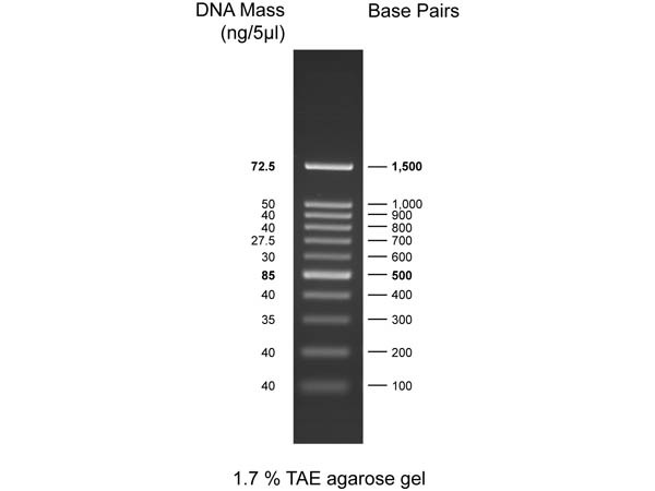 Diamond DNA Ladder 100-1500bp