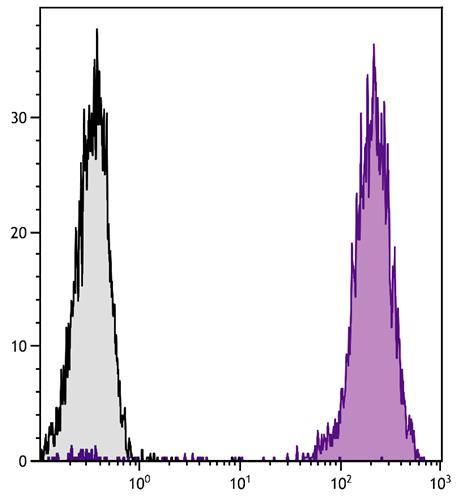 Anti-CD45 (PE), clone 2D1