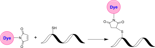 XFD430 C5 maleimide