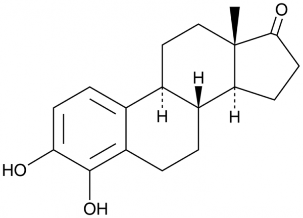 4-hydroxy Estrone