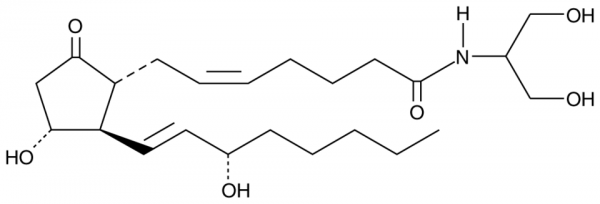 Prostaglandin E2 serinol amide