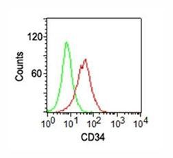 Anti-CD34, clone ICO-115