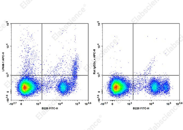 APC Anti-Mouse LPAM-1 Antibody[DATK32]