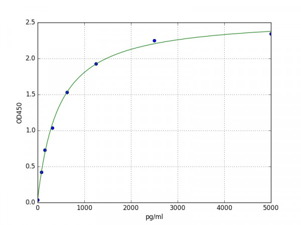 Human SLC25A5 / ADP / ATP translocase 2 ELISA Kit
