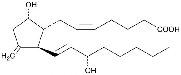 11-deoxy-11-methylene Prostaglandin D2