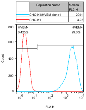 CHO-K1/HVEM Stable Cell Line