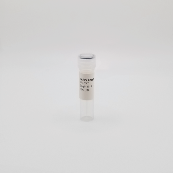Recombinant PARP2, Enzyme Active, Human