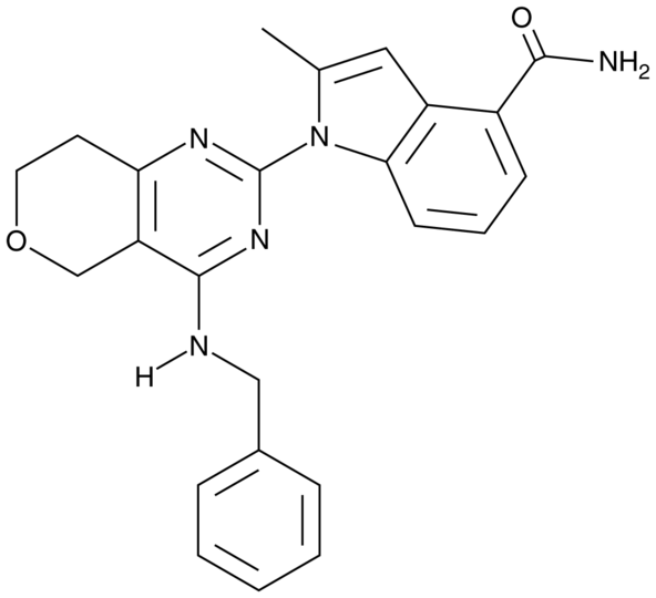 CB-5083