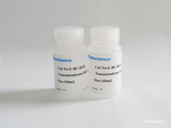 Transmembrane Buffer (10×)