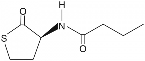 N-butyryl-L-Homocysteine thiolactone