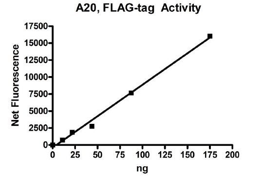A20 Fluorogenic Assay Kit