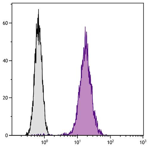 Anti-CD81 (FITC), clone 2F7