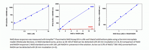 Amplite(TM) Fluorimetric NAD Assay Kit *Blue Fluorescence*