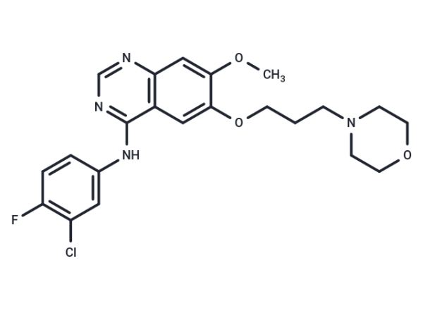 Gefitinib