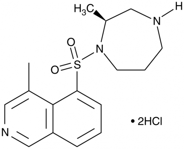 (S)-H-1152 (hydrochloride)