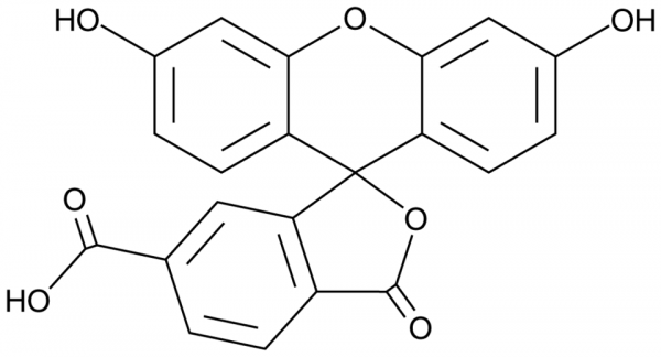 6-Carboxyfluorescein