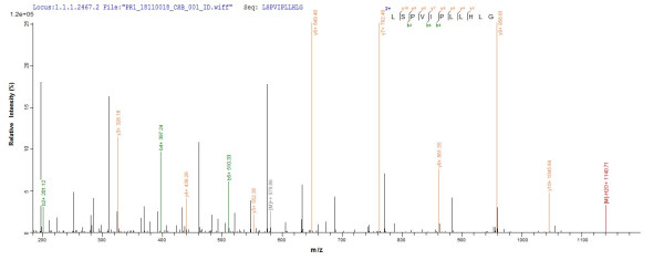 Cathelicidin-6 (CATHL6), bovine, recombinant