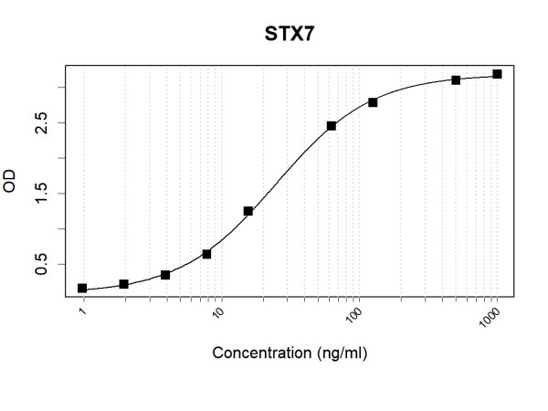 Anti-Human STX7 Antibody Pair