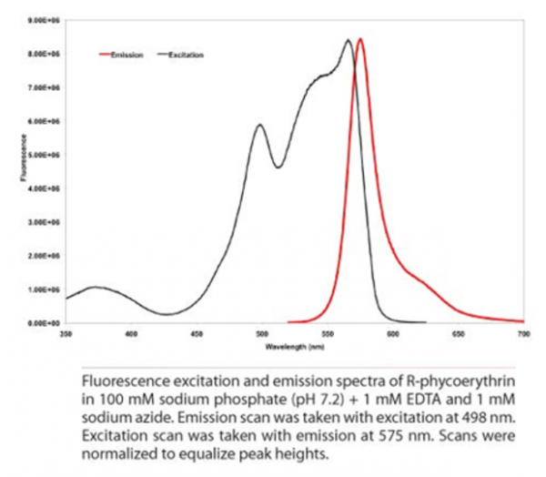 Anti-TIM-3 [Rat] IgG conjugated to R-Phycoerythrin