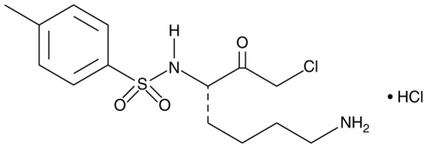 Tosyllysine Chloromethyl Ketone (hydrochloride)