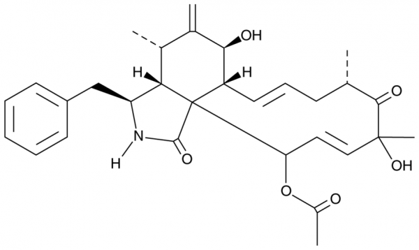 Cytochalasin D