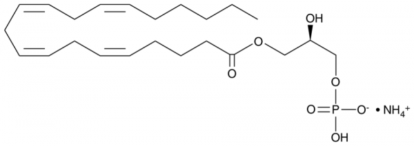 1-Arachidonoyl-2-hydroxy-sn-glycero-3-PA (ammonium salt)