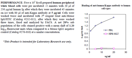 Anti-Ig kappa (human), clone L1C1