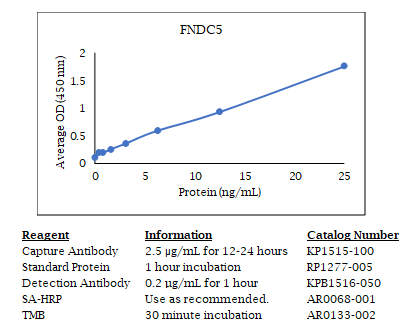 Anti-PAb (FNDC5)