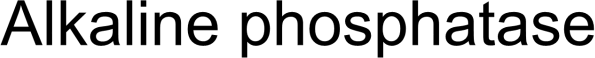 Alkaline Phosphatase