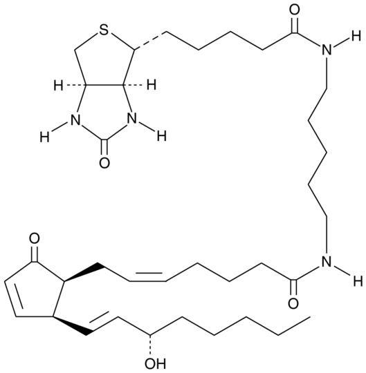 8-iso Prostaglandin A2-biotin